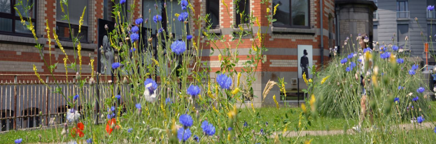 Site Horta en fleurs