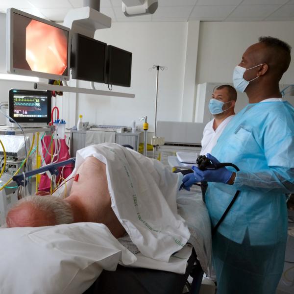 Gastro-entérologie (endoscopie)